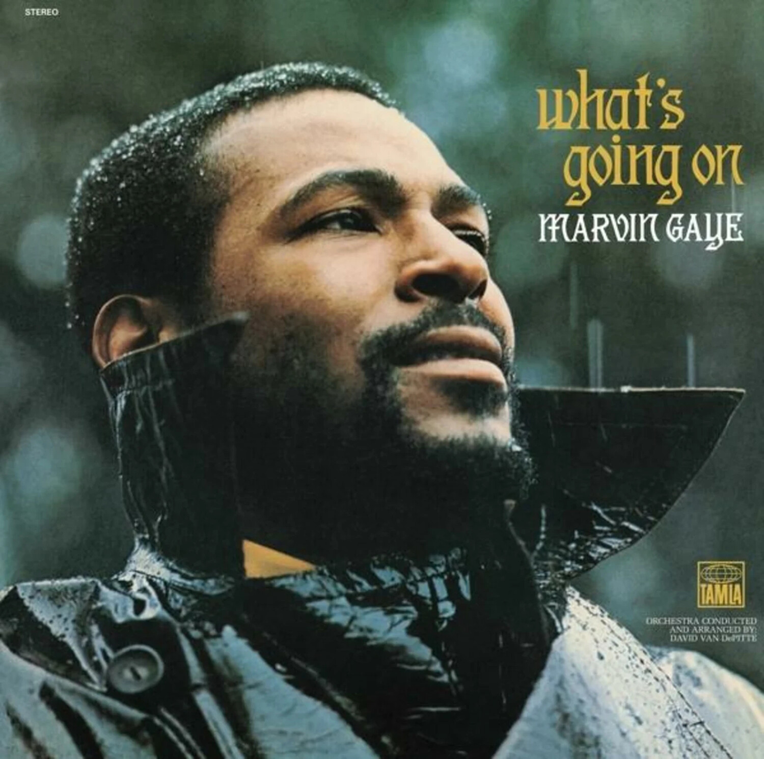 Marvin Gaye - What's Going On (Vinyl)