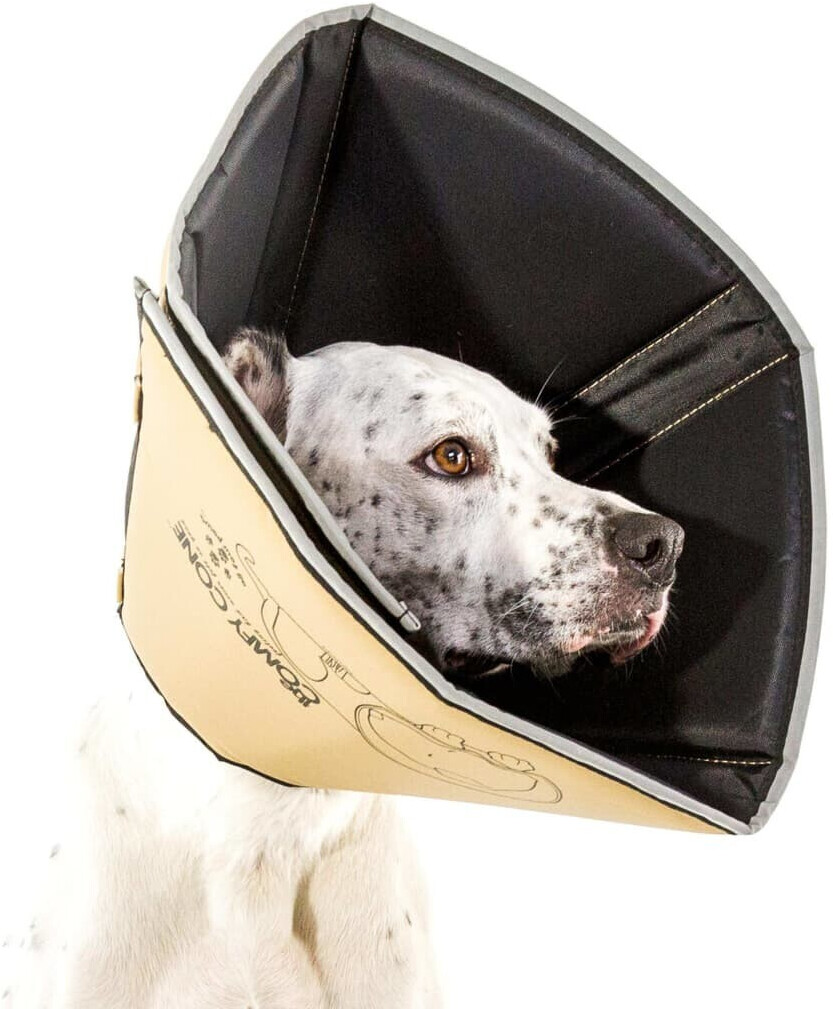 Comfy cone discount for dogs