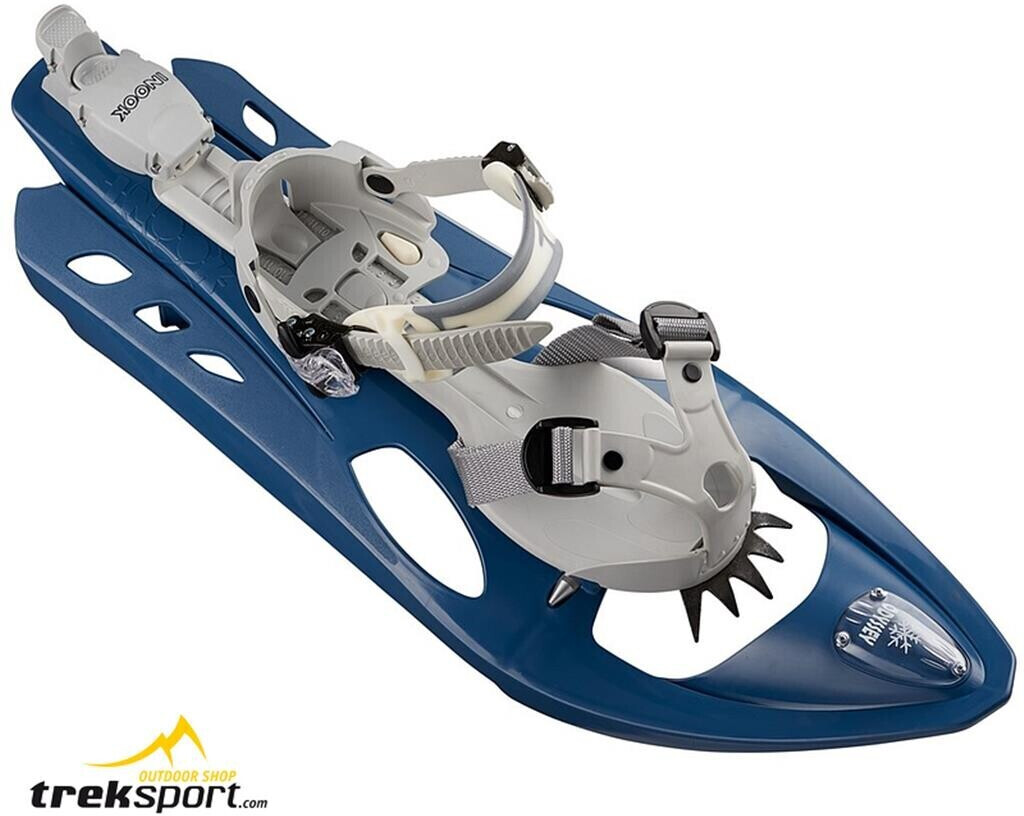 Inook Odyssey blueberry