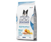 Monge 2025 excellence medium