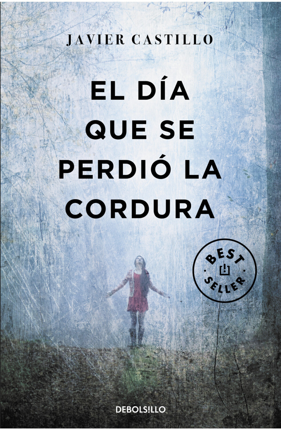 El día que se perdió la cordura (Javier Castillo) [Paperback]