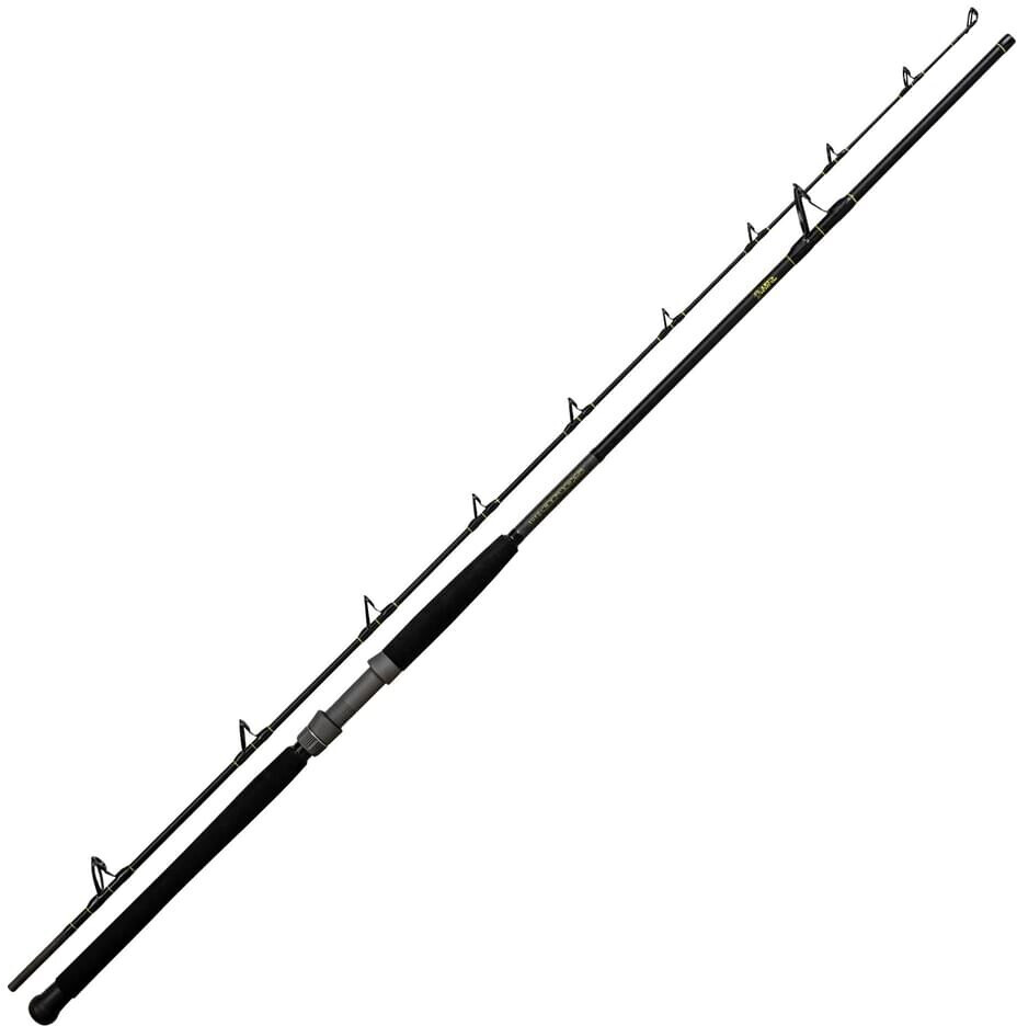 Zebco Black Cat Solid Bank 2,90 m 100 - 500 g