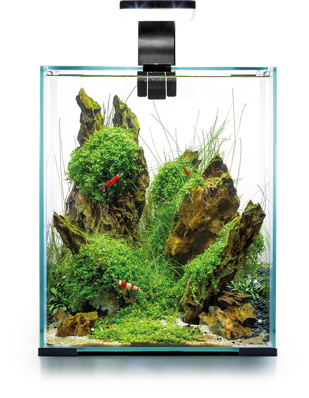 Aquael Nano-Aquarium Shrimp Set Smart Day & Night 20 Black