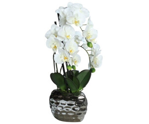 Porta Kunstblume Orchidee FRESH 50cm ab 34,90 bei | Schale € silber Preisvergleich cremeweiß