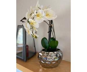€ silber Schale bei cremeweiß/ Kunstblume Preisvergleich ab Porta | FRESH 50cm 34,90 Orchidee