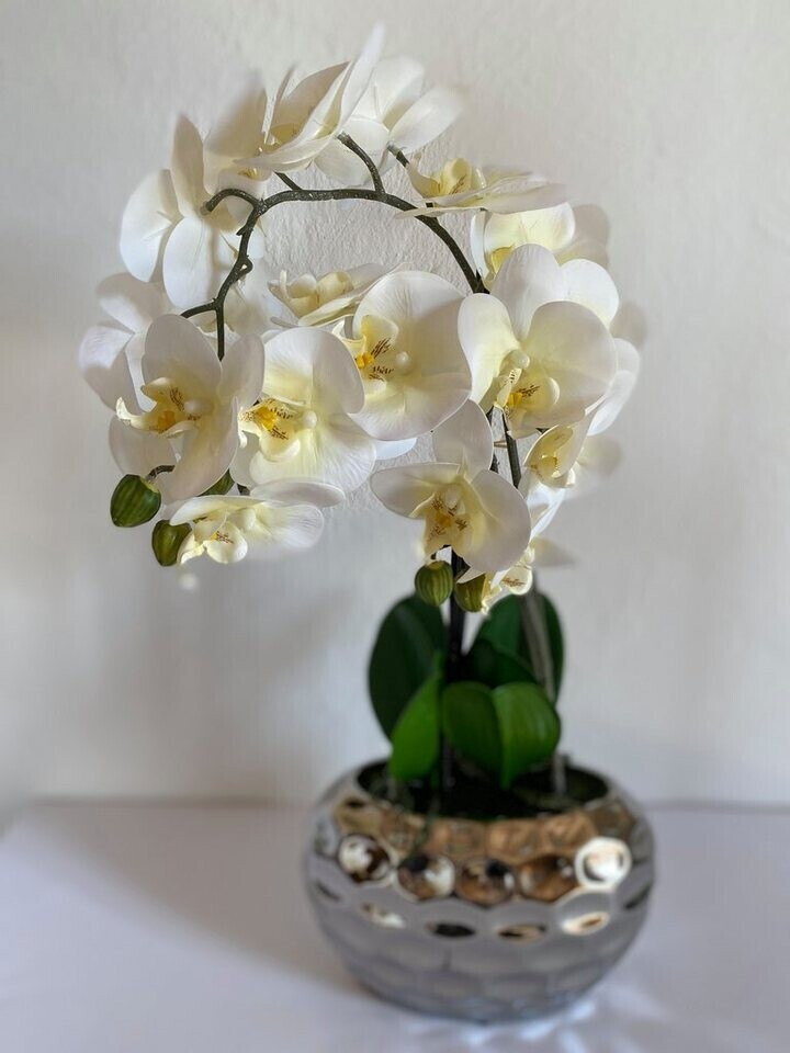 Porta Kunstblume Orchidee FRESH ab Schale 34,90 | 50cm € bei Preisvergleich silber cremeweiß