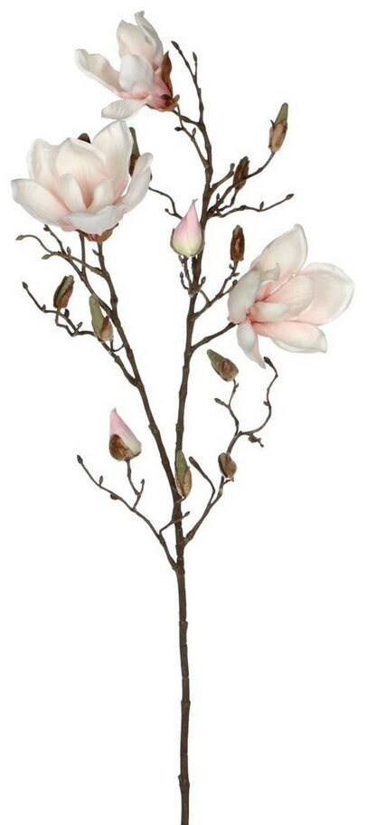 MICA Decorations 1005581