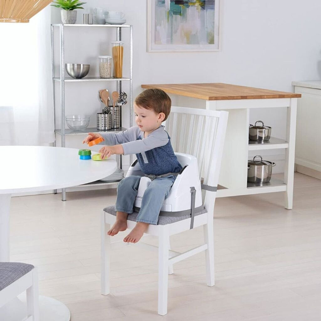 Ingenuity Baby Base 2in1™ Seat Slate (11576) ab 52,99