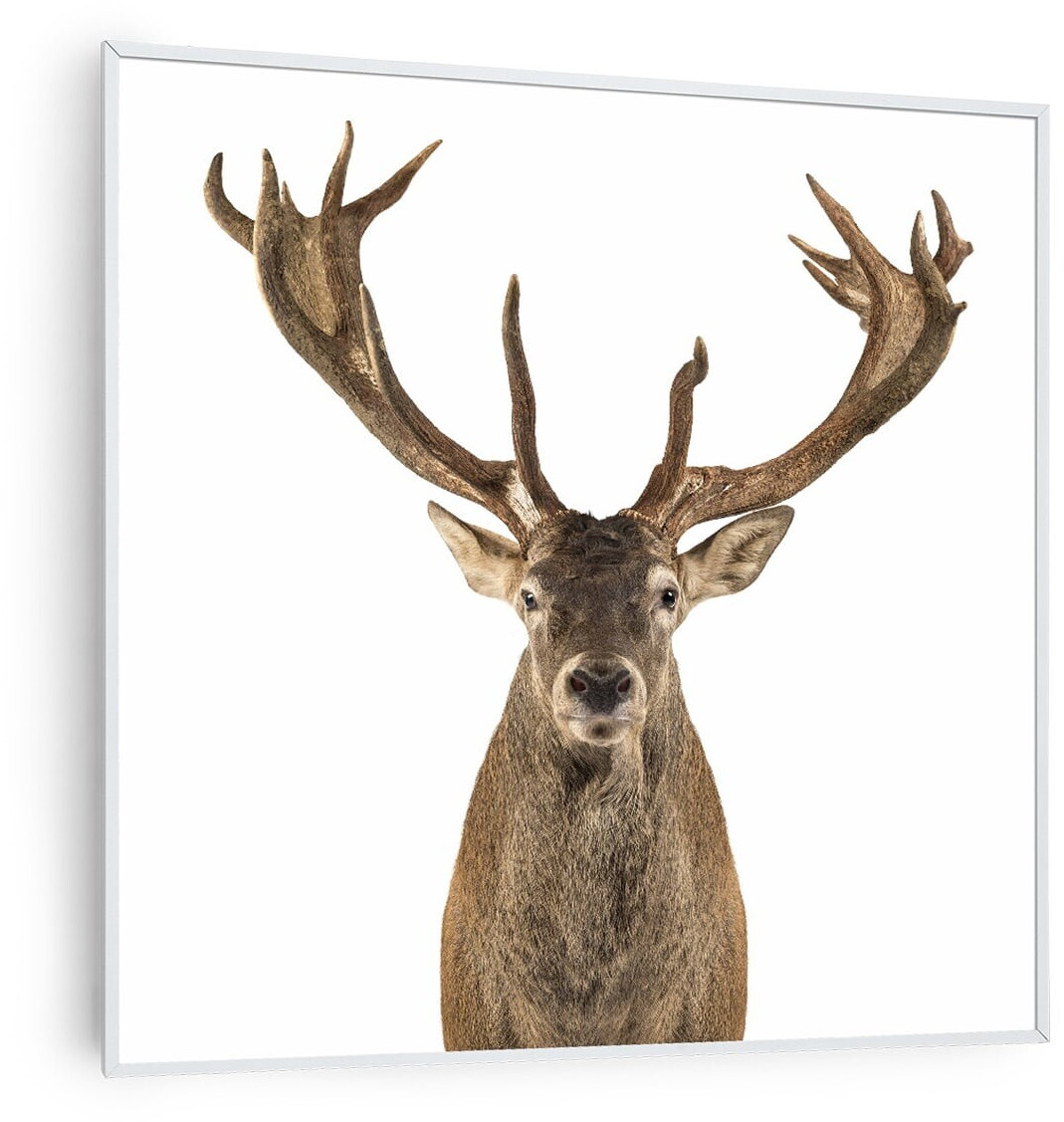 Klarstein Wonderwall Air Art Smart Cerf 60 x 60 cm