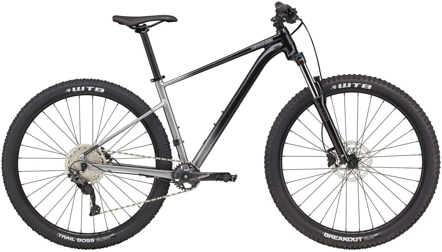 Cannondale Cannondale Trail SE 4 (2021) grey