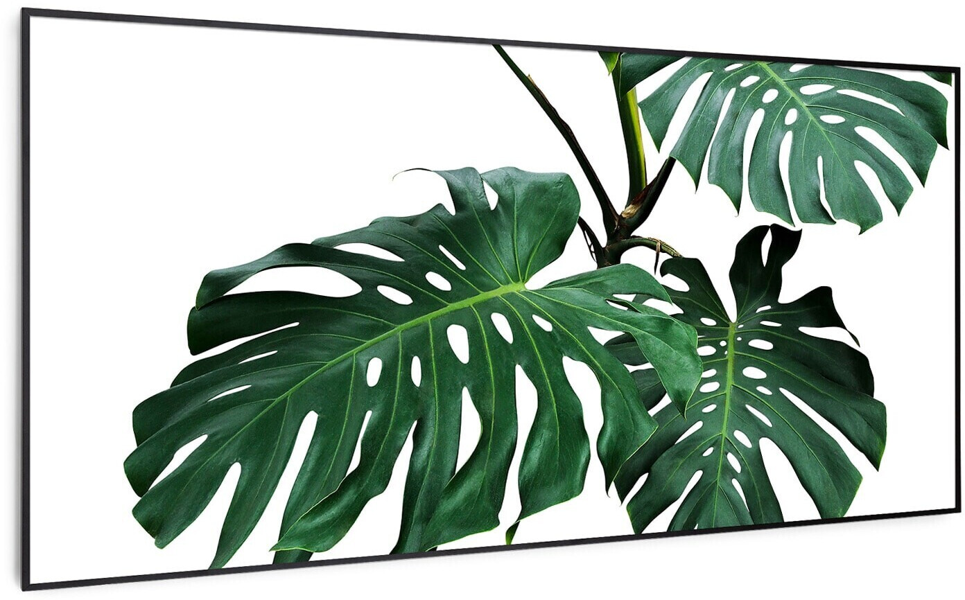 Klarstein Wonderwall Air Art Smart Décor feuille noire 120 x 60 cm