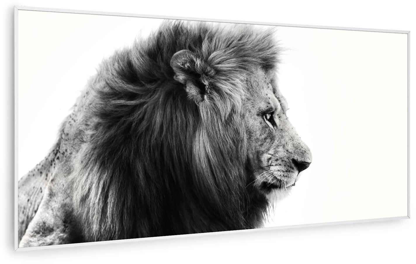 Klarstein Wonderwall Air Art Smart Lion (blanc) 120 x 60 cm