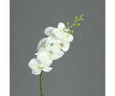 Künstliche Orchideen | Preisvergleich bei