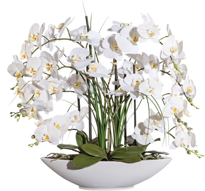 ab cm weiß Gasper Keramiktopf Orchidee 70 bei Phalaenopsis 150,17 Preisvergleich | im (1717304-40) €