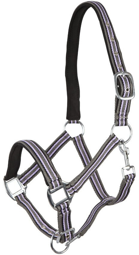 Pfiff Plastic Holster