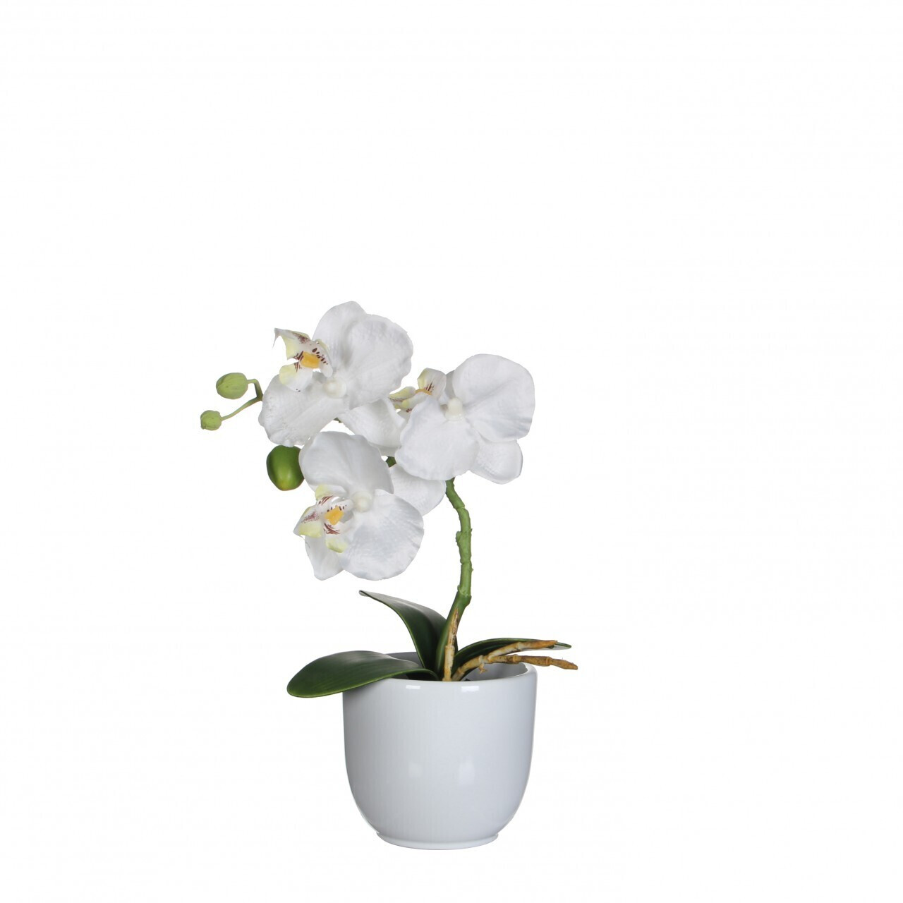 MICA Decorations Phalaenopsis Orchidee im Topf 26 cm weiß (949982) ab 7,99  € | Preisvergleich bei