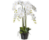 Künstliche Orchideen im Topf Weiss | Preisvergleich bei