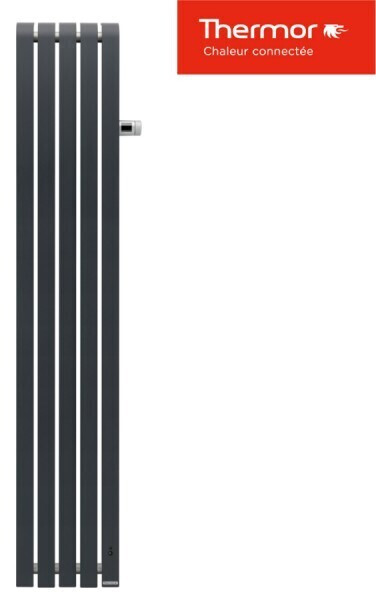 Thermor Mythik vertical 1250 W gris ardoise