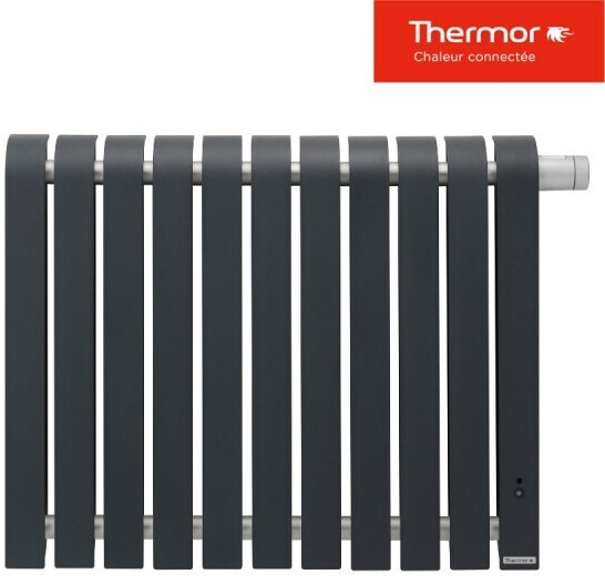 Thermor Mythik horizontal 1000 W gris ardoise