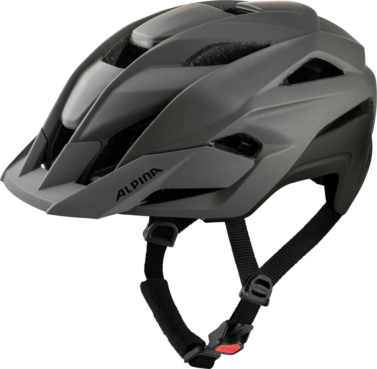 Photos - Bike Helmet Alpina Sports  Sports Stan Mips coffee/grey matt 