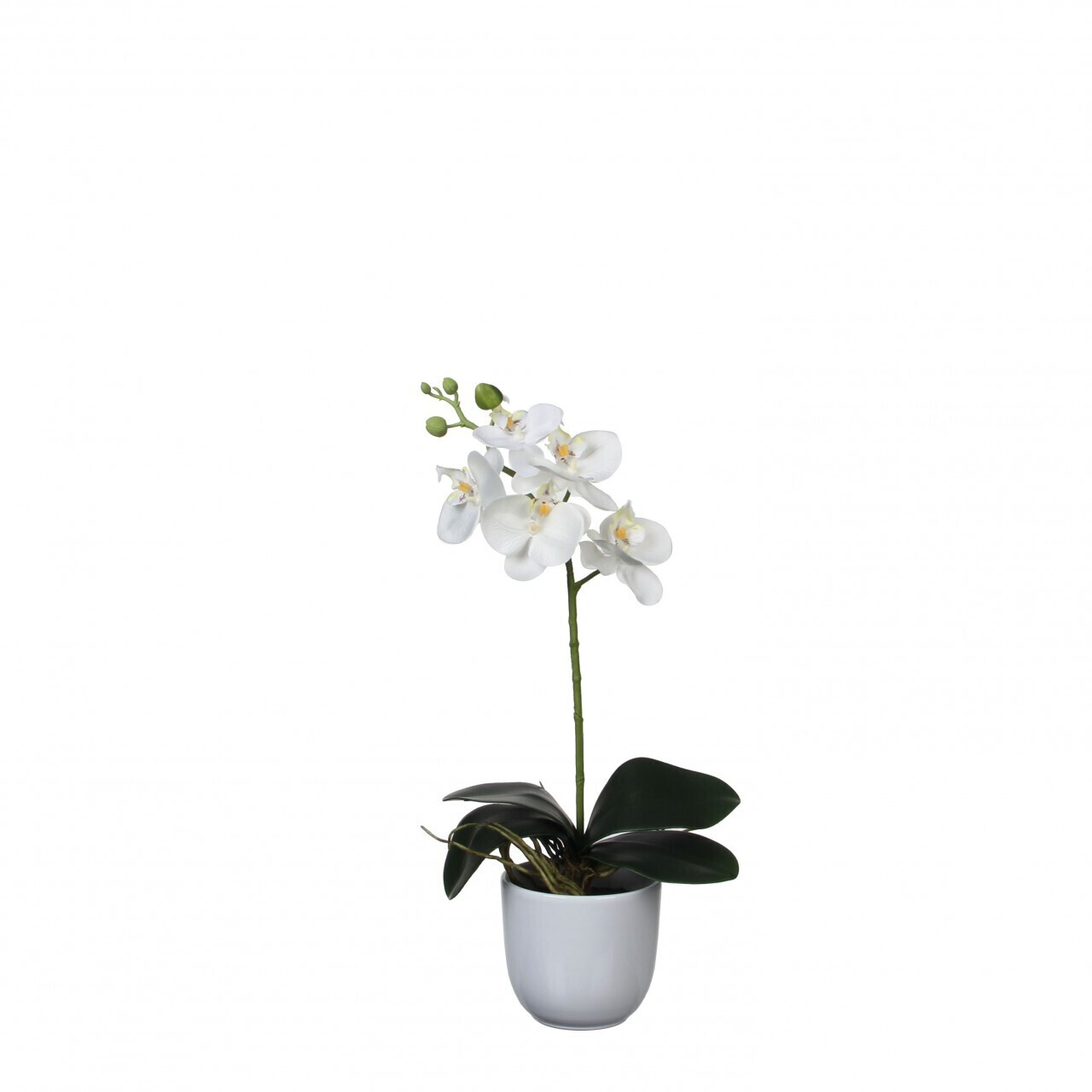 MICA Decorations 949938