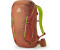 Gregory Targhee FT 24 M/L rust red