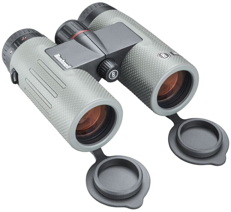 Bushnell Nitro 10x36 Grey