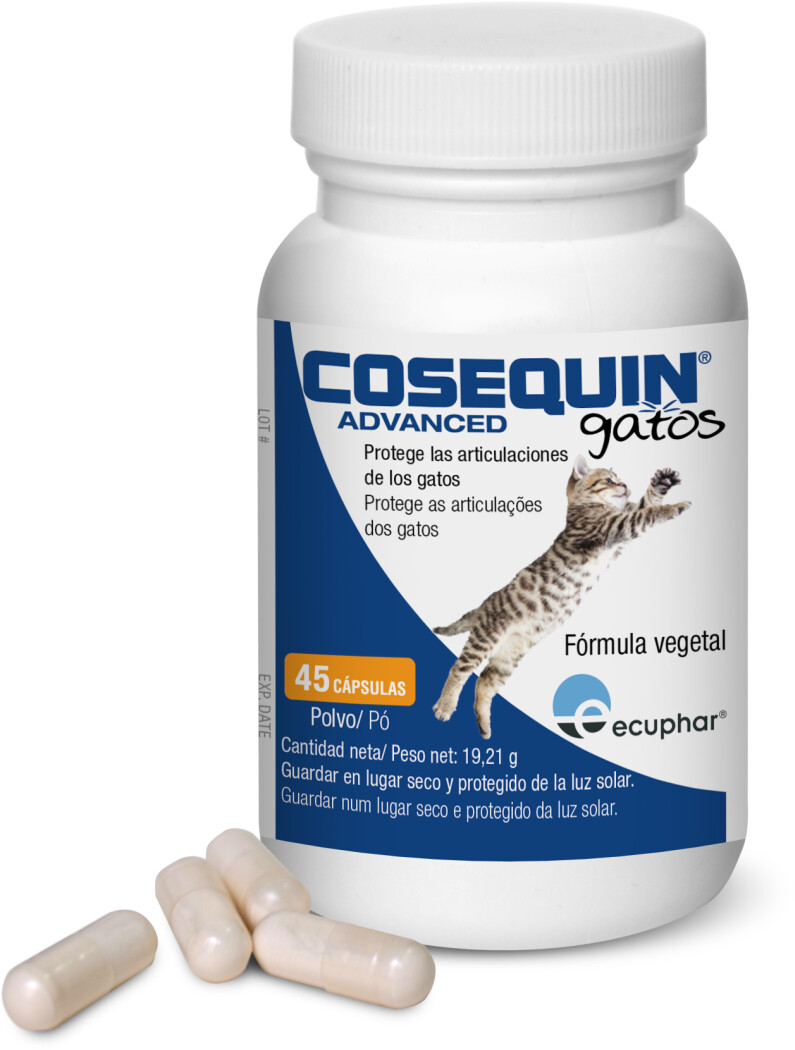 Cosequin advanced deals