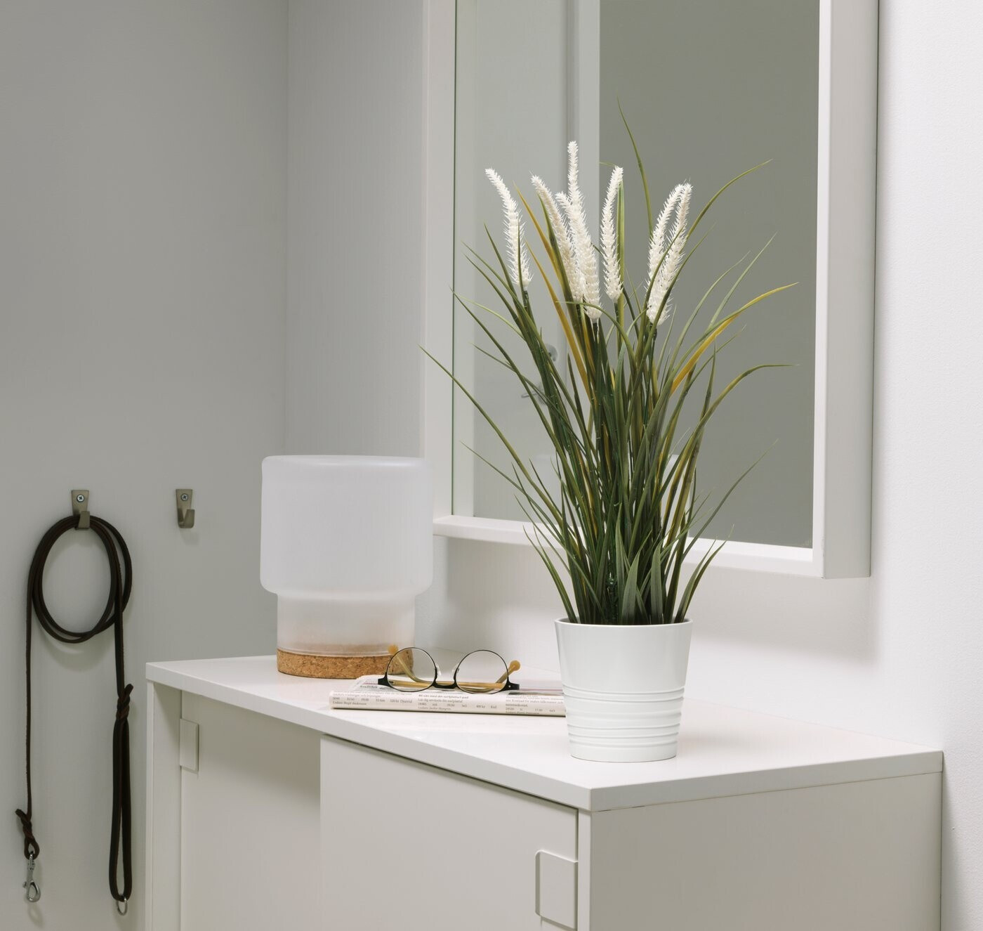 cleaning monstera leaves Leaf Cleaner Wipes for House Plants – Natural Leaf Polish, Gloss, and –  Houseplant Resource Center