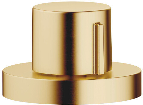Dornbracht 10710970-28