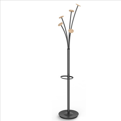 Alba Festival BC 175 cm black