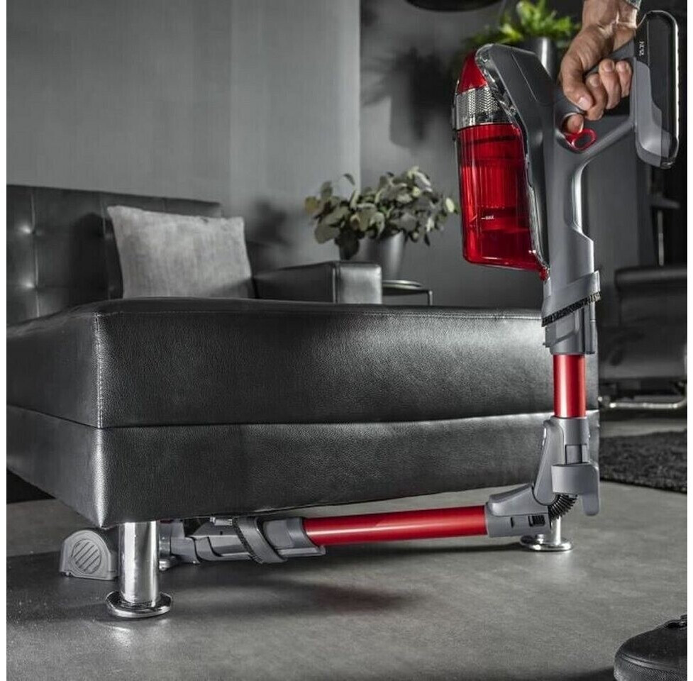 Rowenta X-force Flex 11.60 Animal Test Rowenta X-Force Flex 11.60 Animal Kit au meilleur prix sur idealo.fr