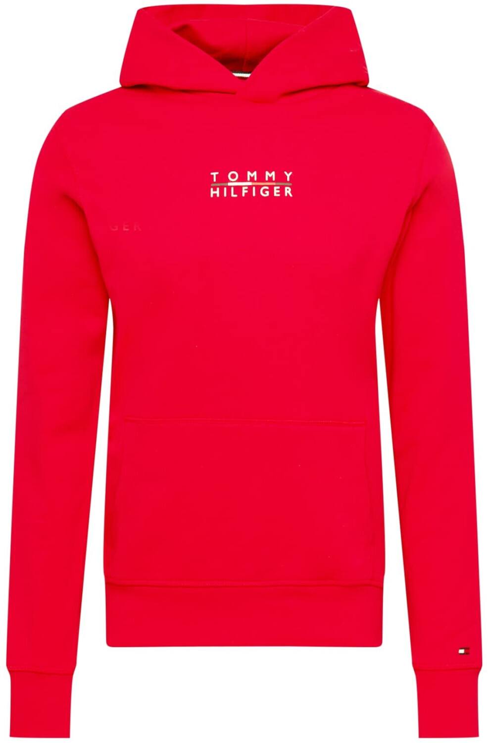 Tommy icons embroidery online pure cotton fleece hoody