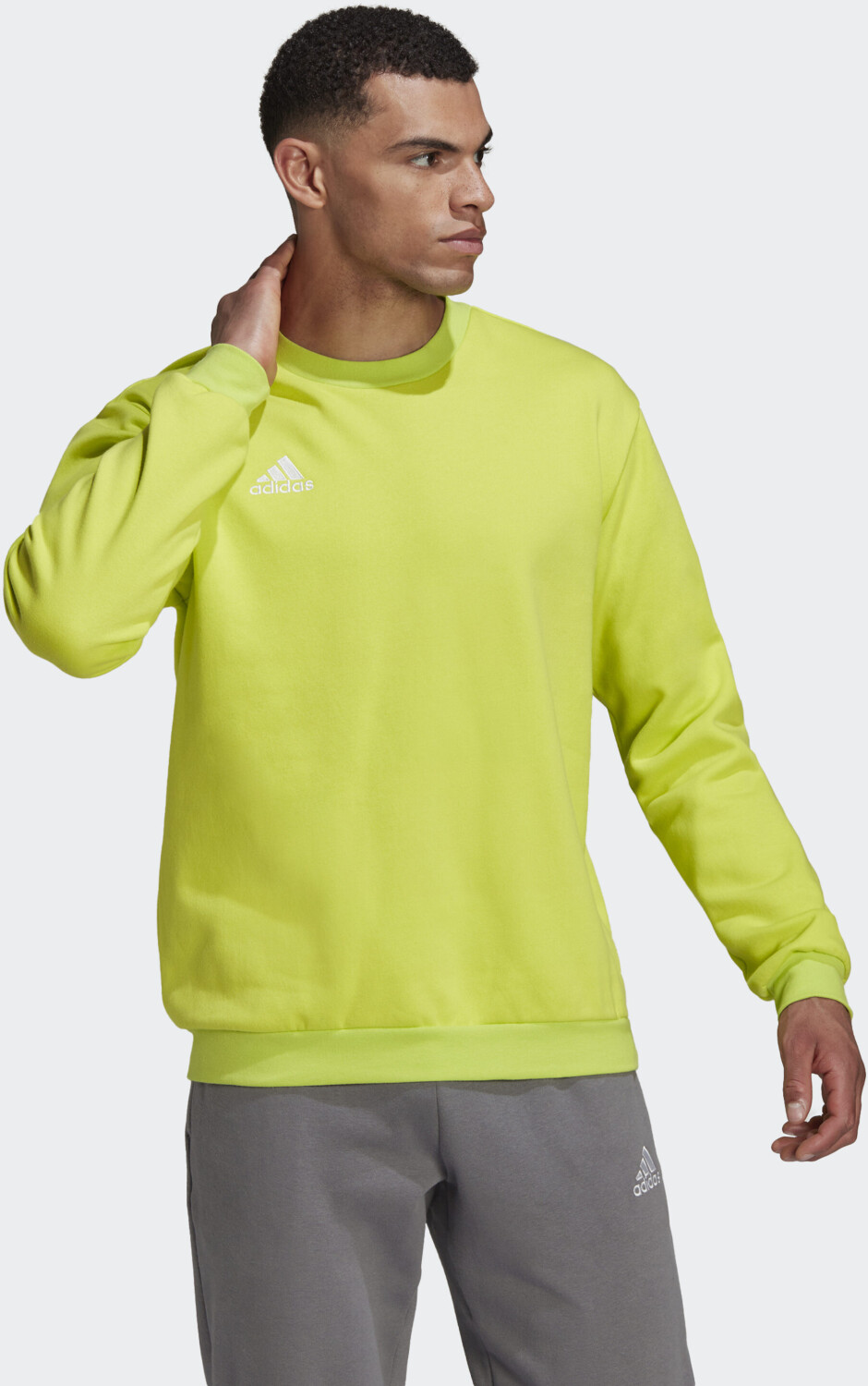 Adidas Entrada 22 Sweatshirt team € | sol Preisvergleich yellow 19,95 bei semi ab