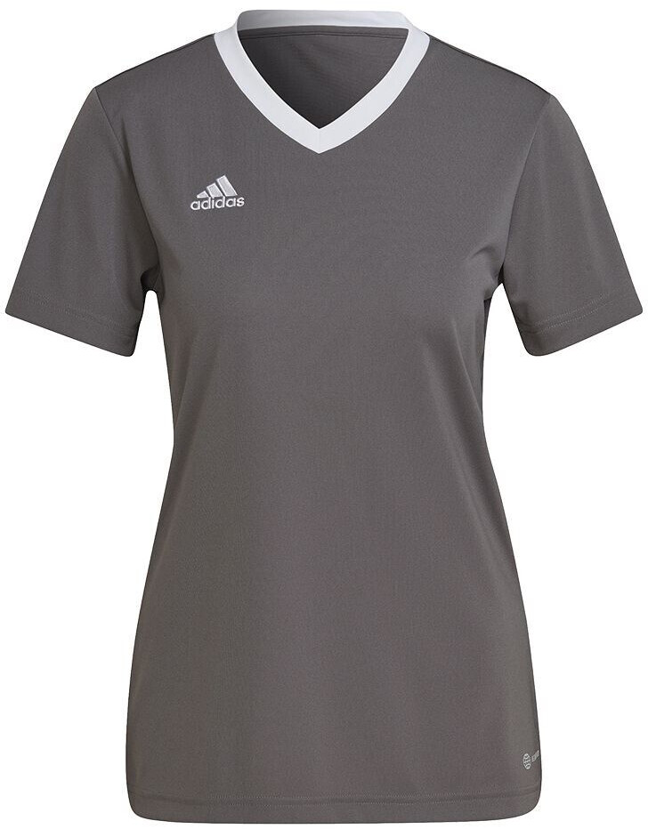 Photos - Football Kit Adidas Entrada 22 Trikot Women team grey four 