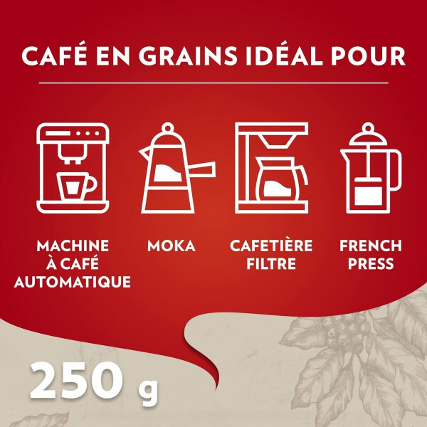 Lavazza Qualità Rossa Bohnen, Bild 8