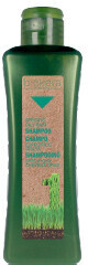 Salerm Cosmetics Biokera Natura oily hair shampoo (300 ml)