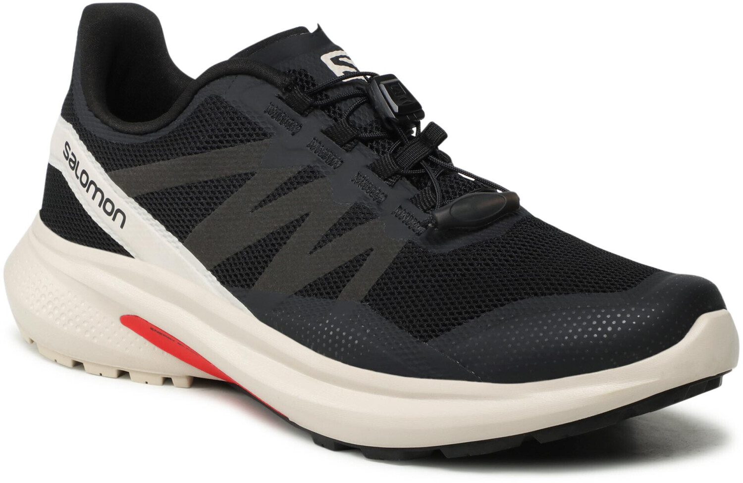 Salomon trail runners mens on sale