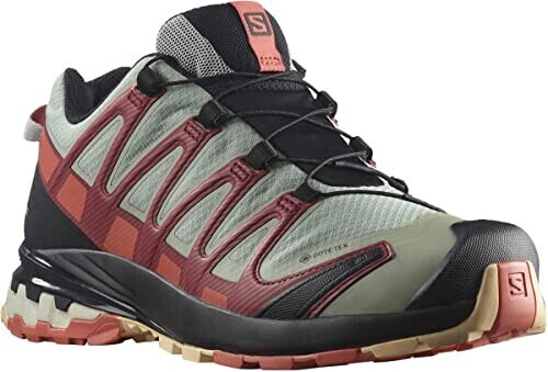 Salomon Xa Pro 3d V8 Gtx Women wrought iron/burnt sienna/biking red