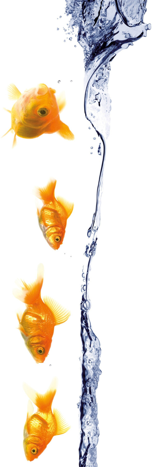 Kleine Wolke Under Water 23x68cm