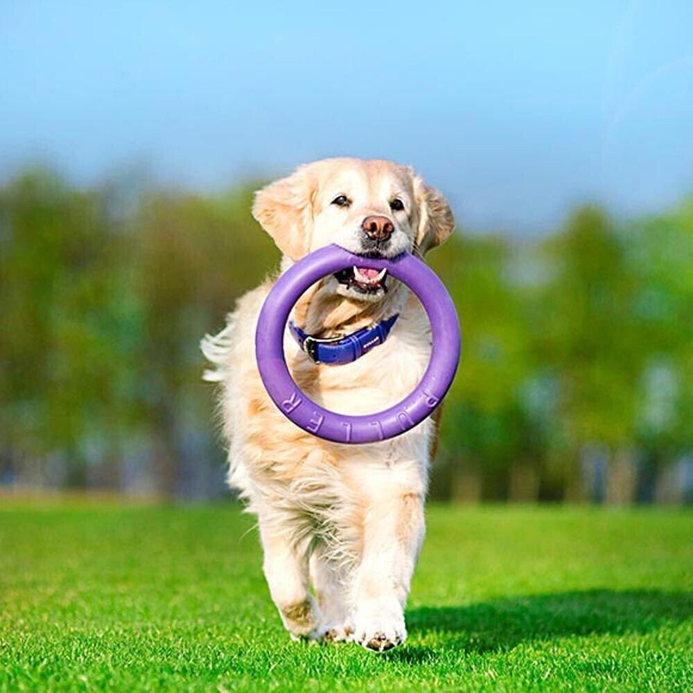 Ferplast Jouet à mordre pour chien Standard 27cm 2 pieces Ferplast Jouet à mordre pour chien Standard 27cm 2 pieces
