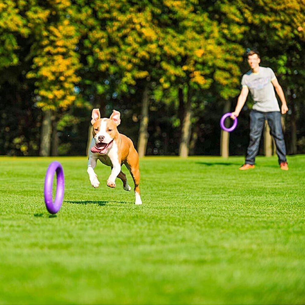 Ferplast Jouet à mordre pour chien Standard 27cm 2 pieces Ferplast Jouet à mordre pour chien Standard 27cm 2 pieces