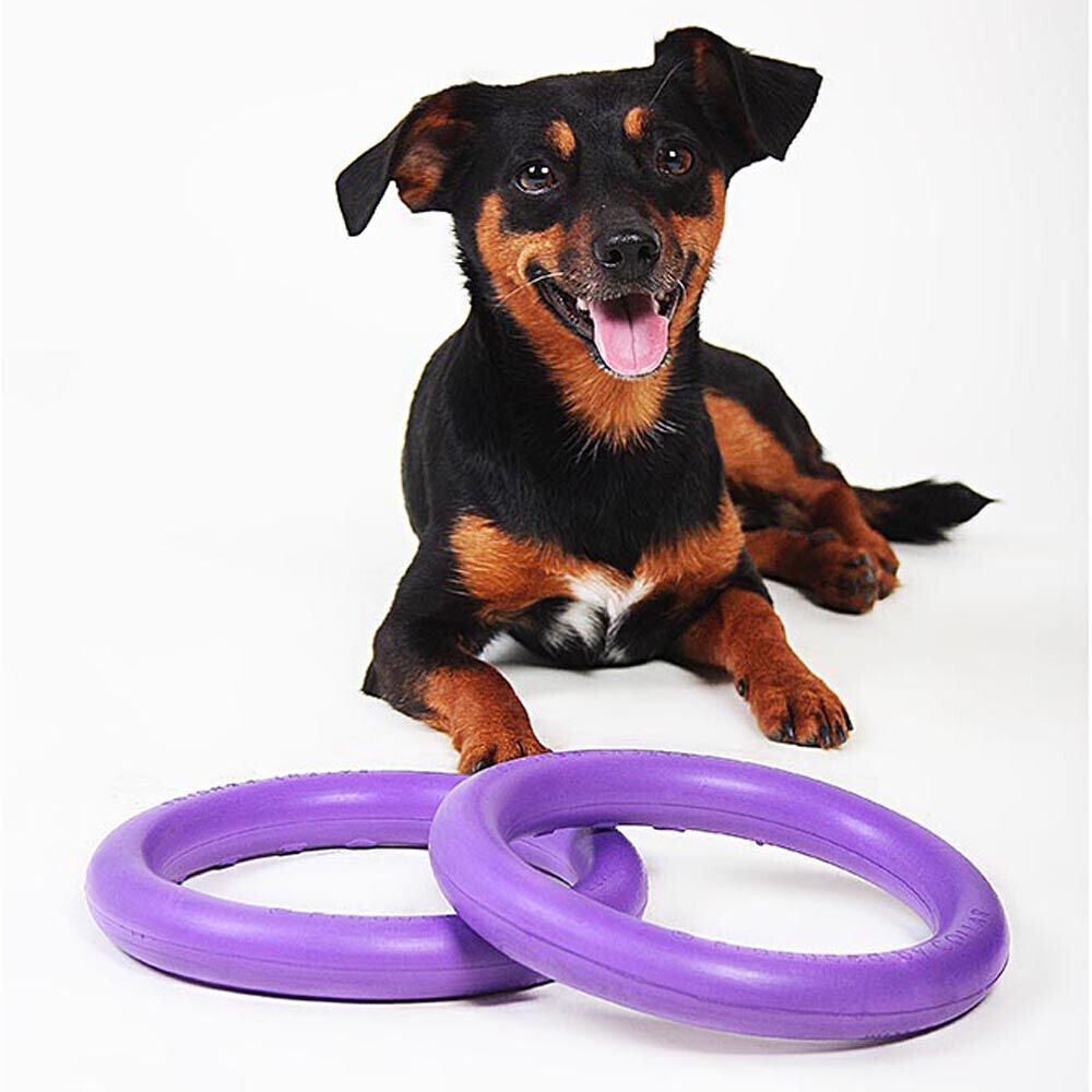 Ferplast Jouet à mordre pour chien Mini 18cm 2 pieces Ferplast Jouet à mordre pour chien Mini 18cm 2 pieces