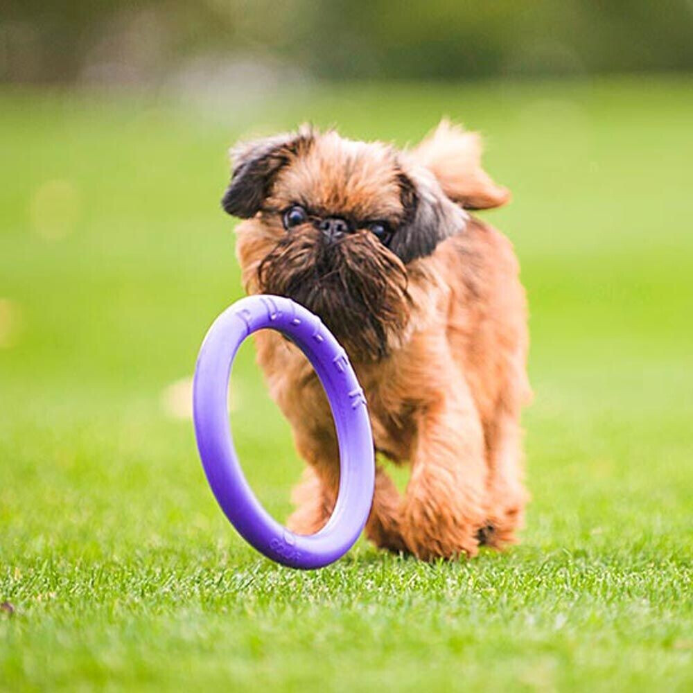 Ferplast Jouet à mordre pour chien Mini 18cm 2 pieces Ferplast Jouet à mordre pour chien Mini 18cm 2 pieces