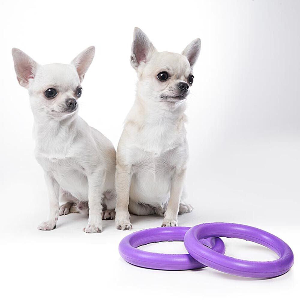 Ferplast Jouet à mordre pour chien Micro 12.3cm 2 pieces Ferplast Jouet à mordre pour chien Micro 12.3cm 2 pieces
