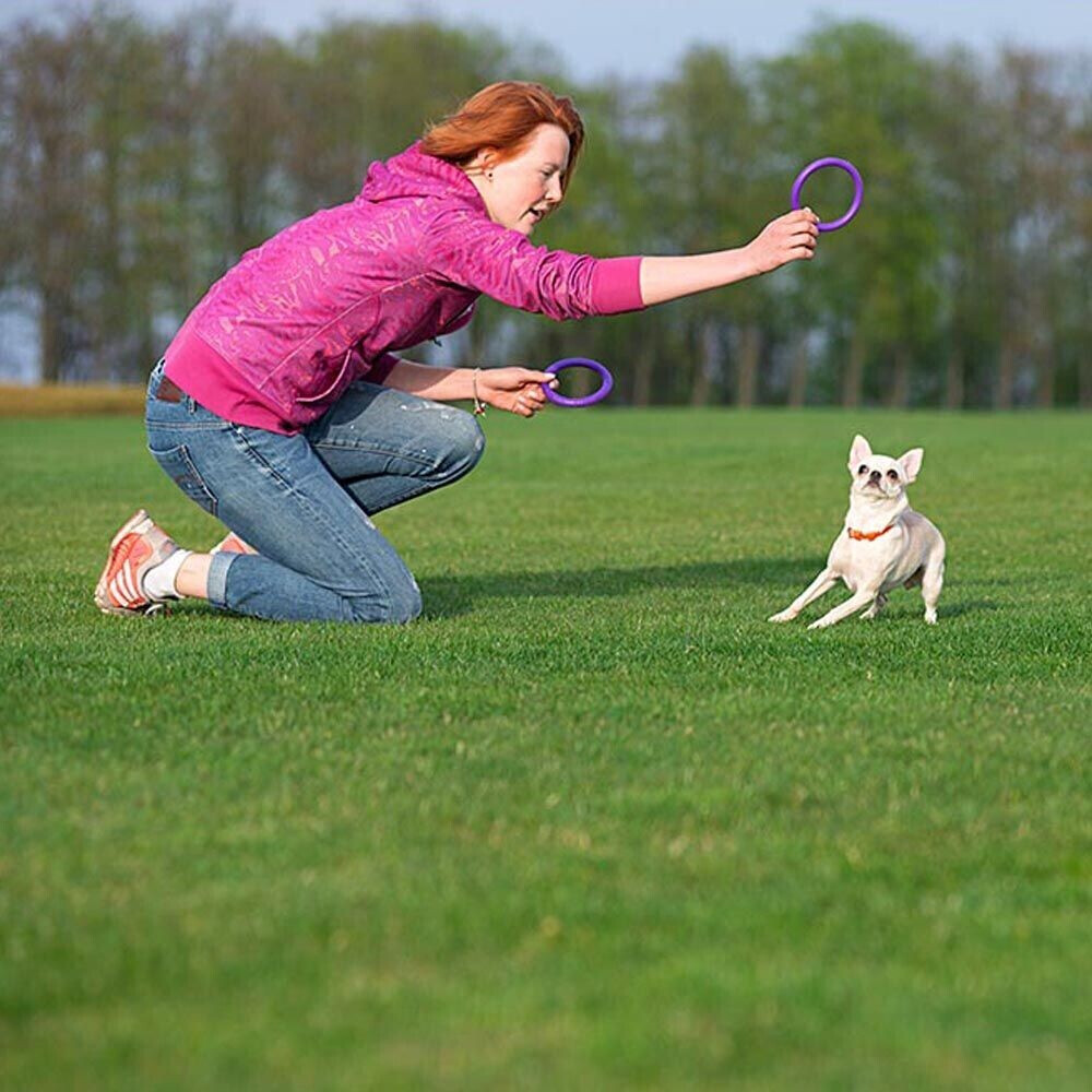 Ferplast Jouet à mordre pour chien Micro 12.3cm 2 pieces Ferplast Jouet à mordre pour chien Micro 12.3cm 2 pieces
