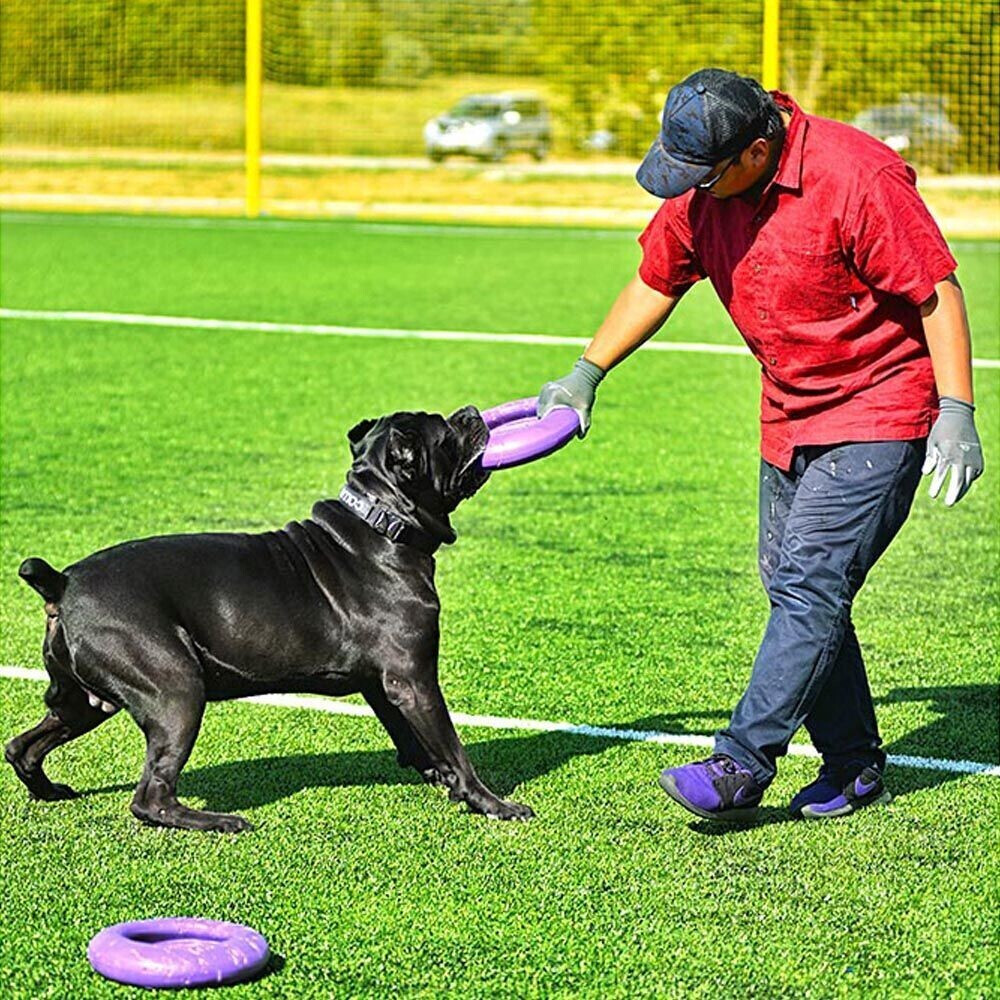 Ferplast Jouet à mordre pour chien Maxi 29cm 2 pieces Ferplast Jouet à mordre pour chien Maxi 29cm 2 pieces