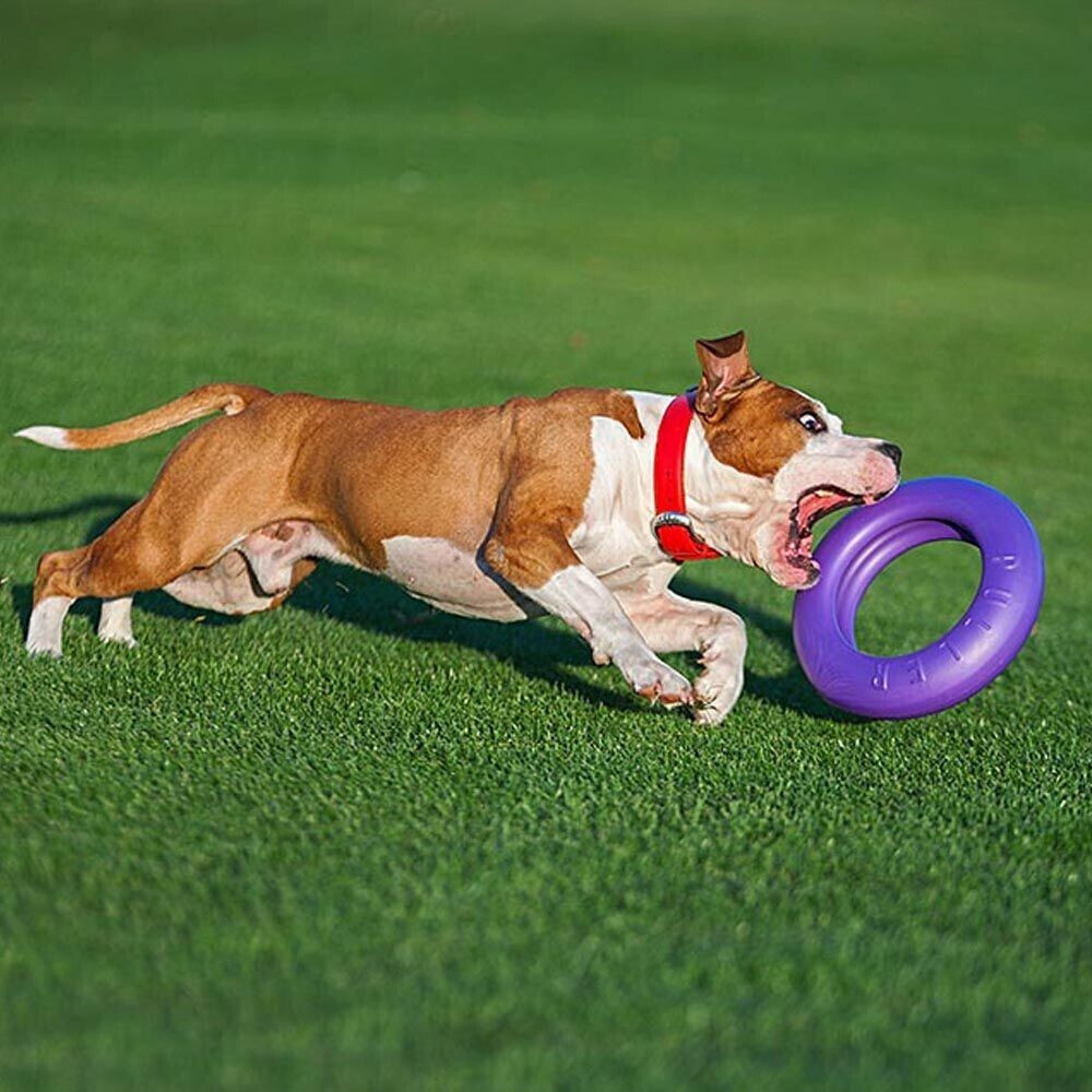 Ferplast Jouet à mordre pour chien Maxi 29cm 2 pieces Ferplast Jouet à mordre pour chien Maxi 29cm 2 pieces