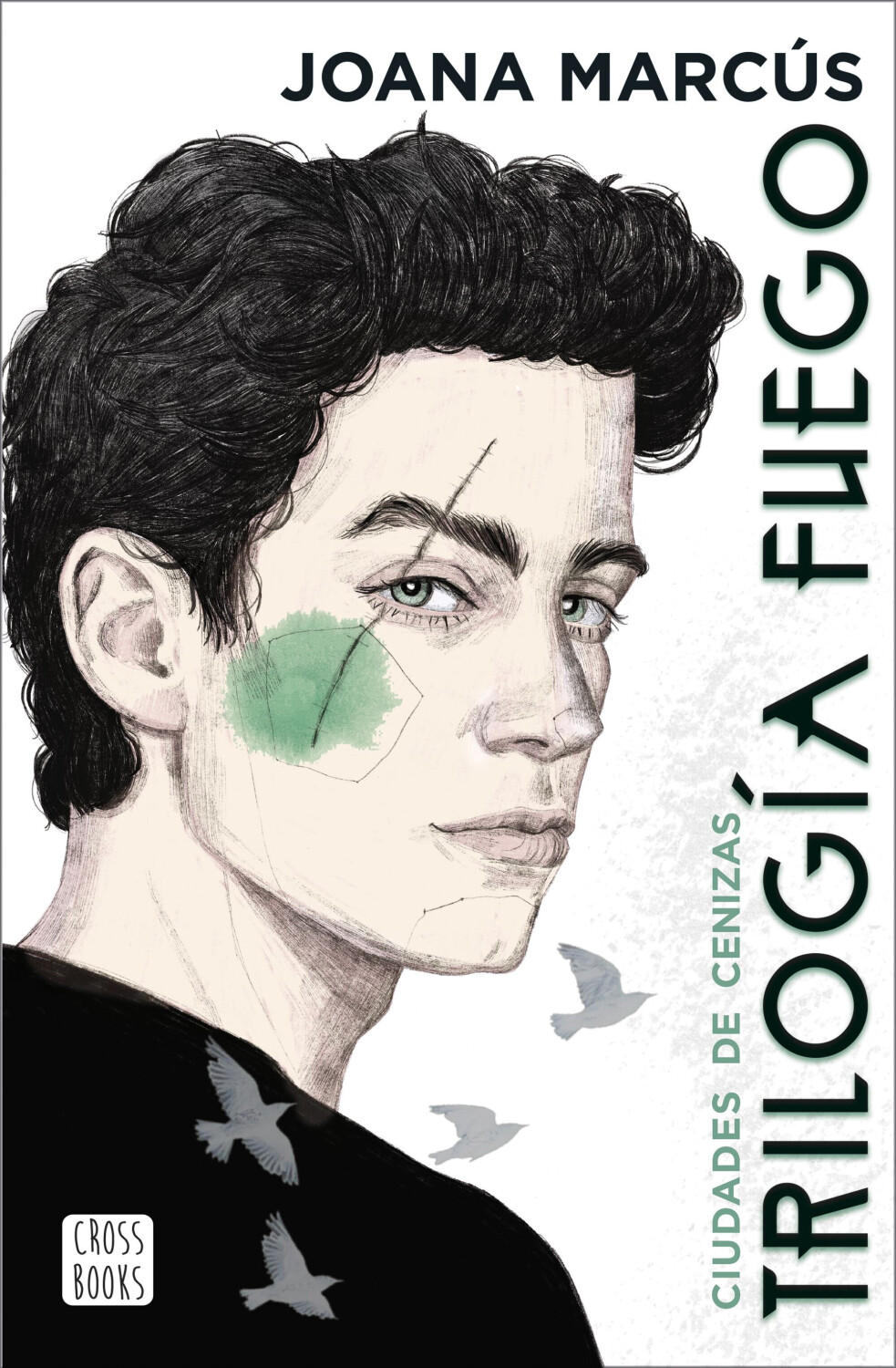 Trilogía Fuego 2. Ciudades de cenizas (Joana Marcús)