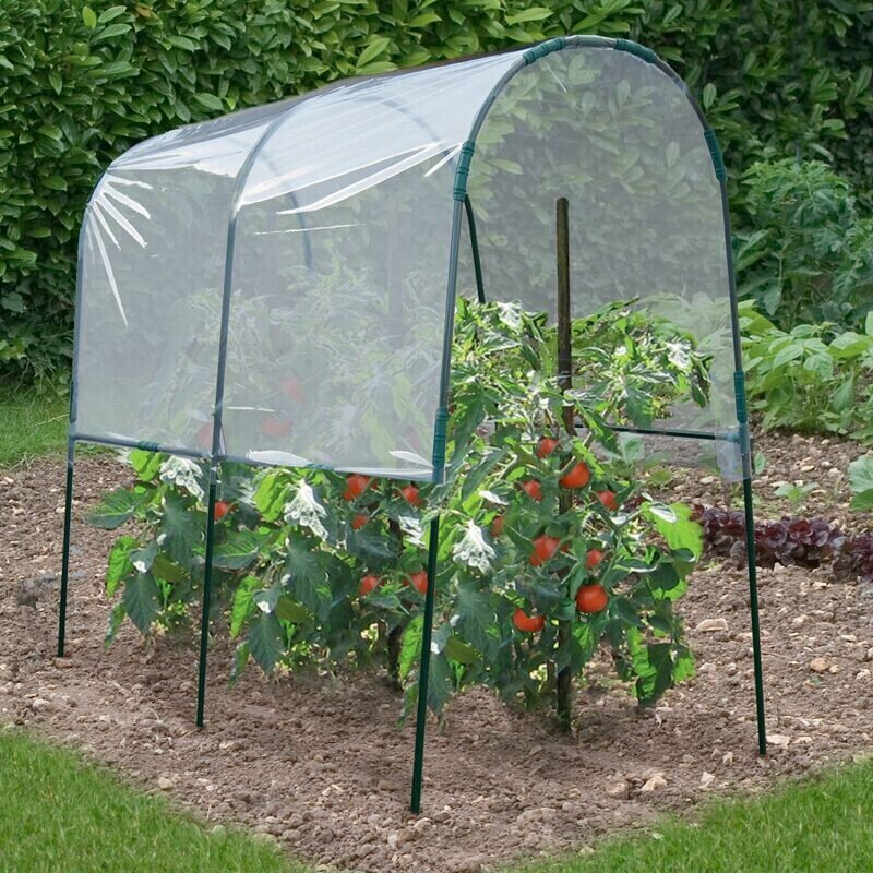 IDMarket Serre à tomates 2 m